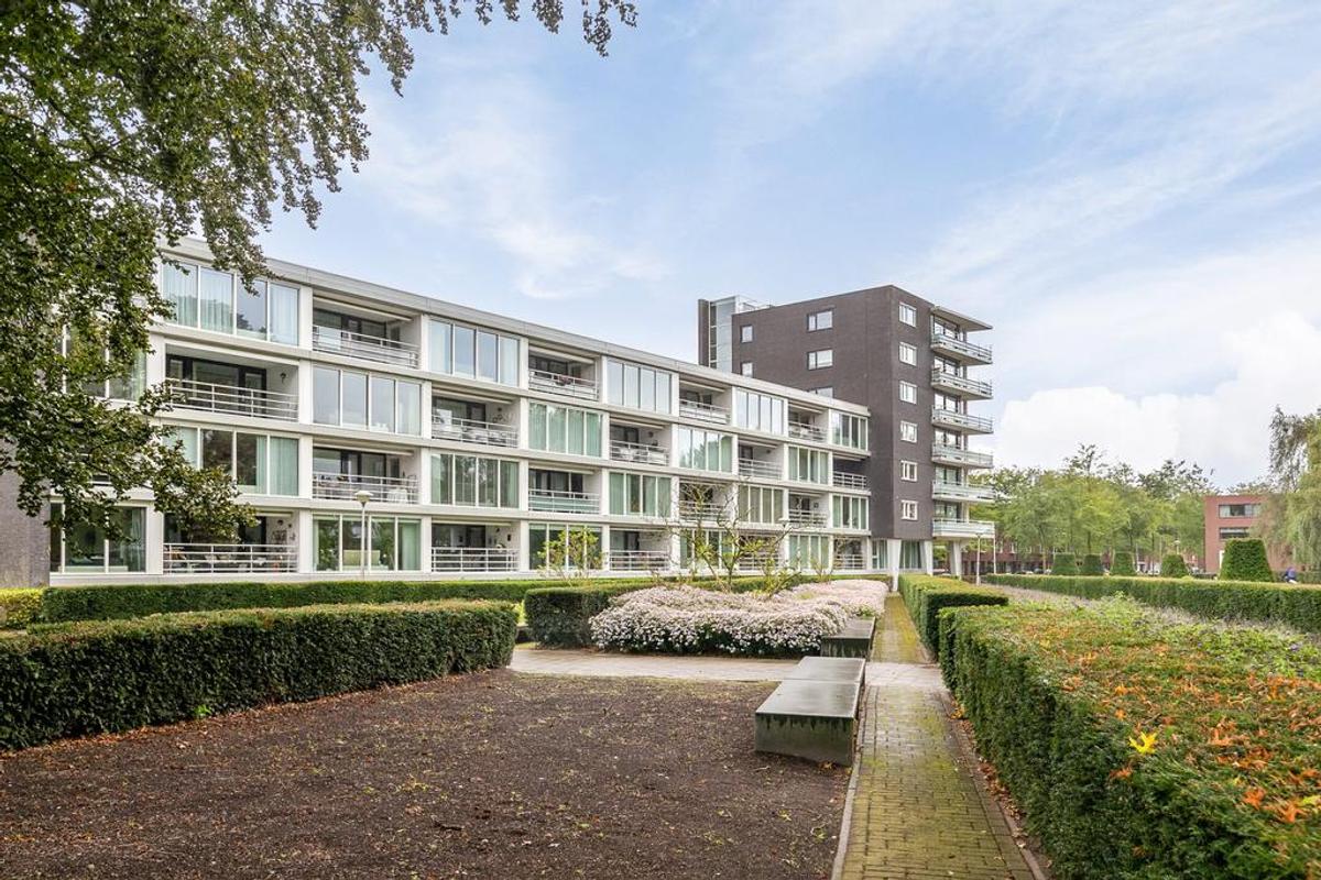 Taxusstraat 4 01 | 5038 KR Tilburg