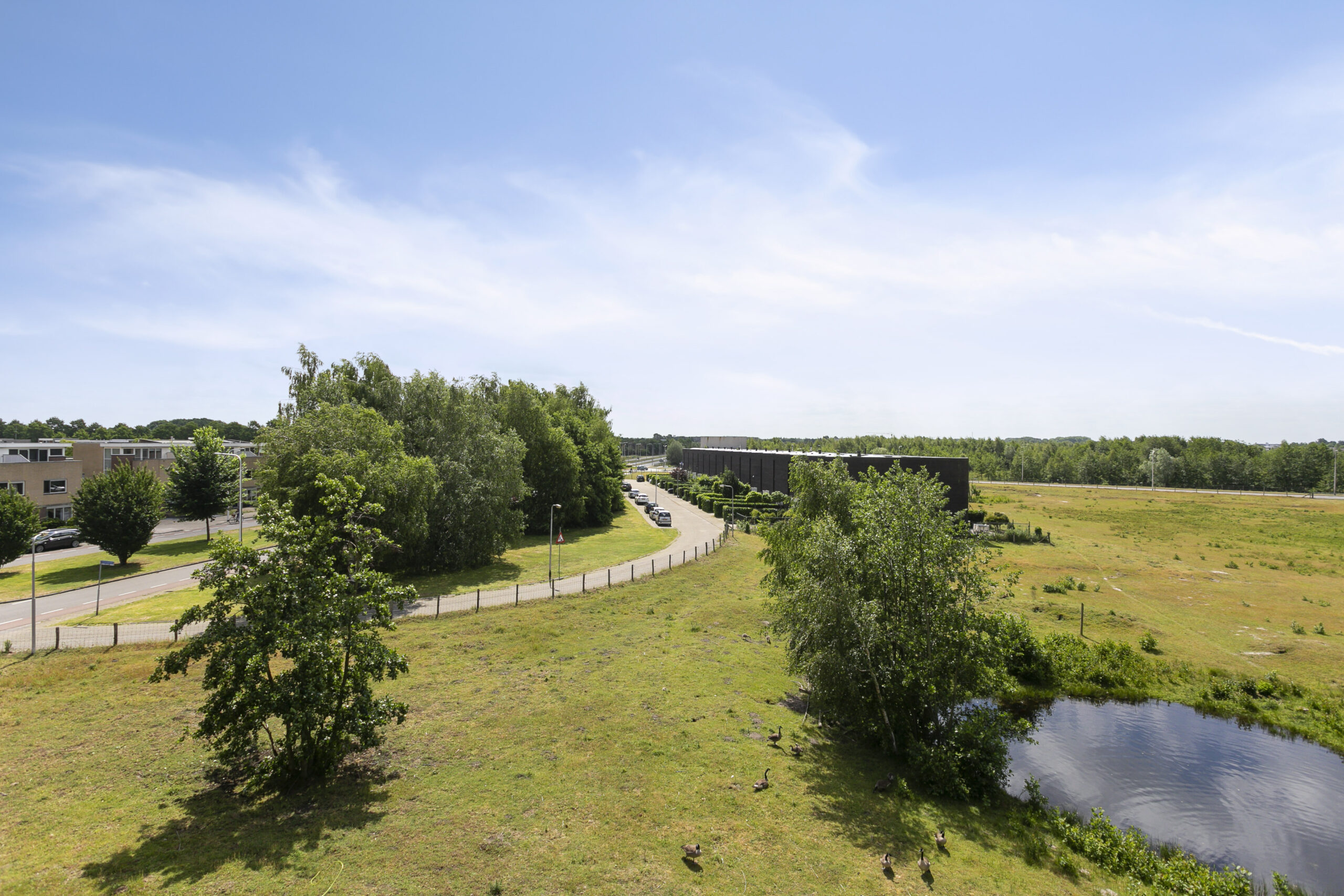 Groene omgeving aan de Bijsterveldenlaan in de Reeshof